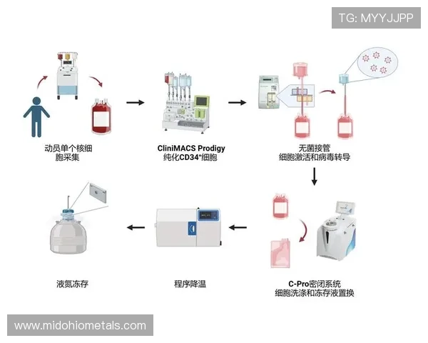 欧博注册开户流程图完整流程解析,确保用户顺利完成注册与账户激活